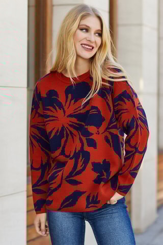 Pull - Rouge et bleu