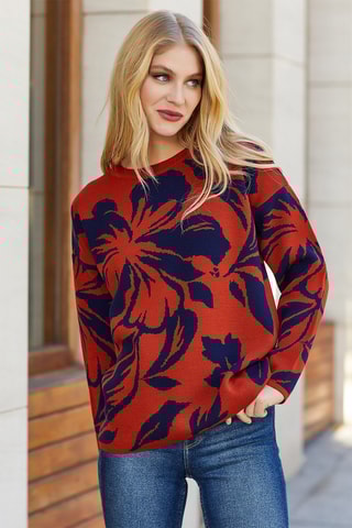 Pull - Rouge et bleu