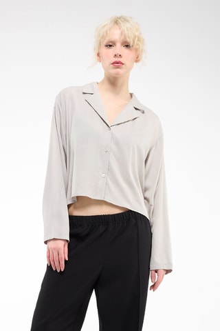 Blouse Grijs