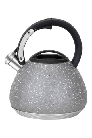 Bouilloire sifflante en acier inoxydable - 2,7 l