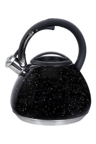 Bouilloire sifflante en acier inoxydable - 2,7 l