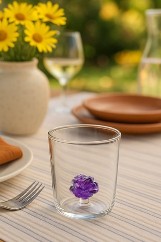 6 Borosilicaatglazen Waterglazen - 30 cl