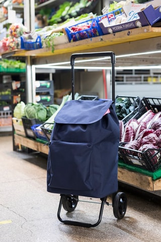 Chariot Argo - Bleu - 42 l