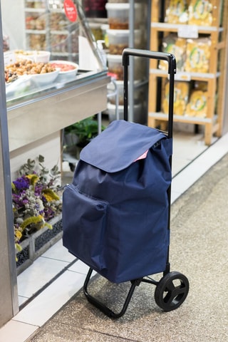Chariot Argo - Bleu - 42 l