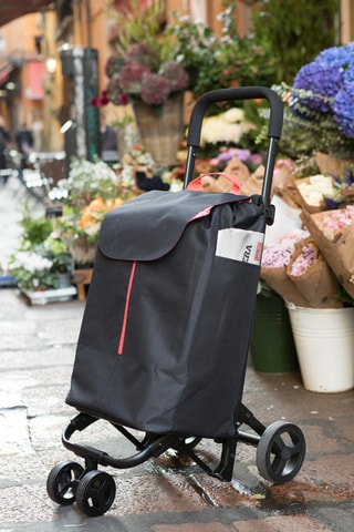 Chariot Twin - Noir - 50 l