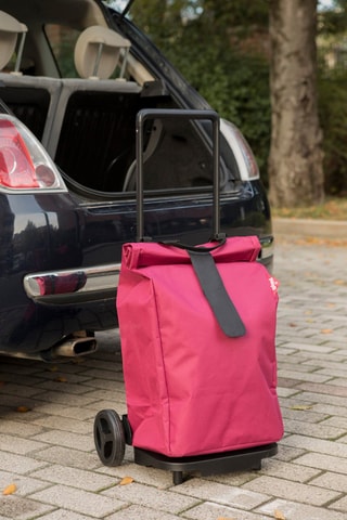 Chariot Srpinter - Rose - 50 l