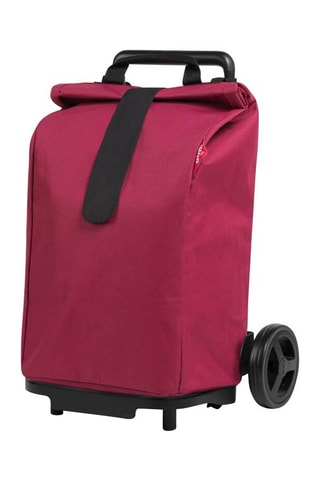 Chariot Srpinter - Rose - 50 l