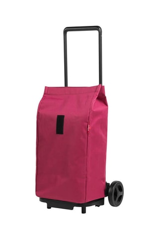 Chariot Srpinter - Rose - 50 l