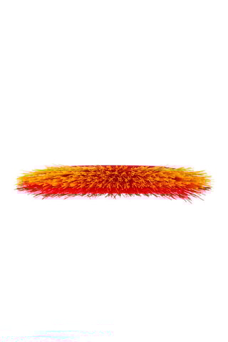 Brosse de jardin 2-en-1