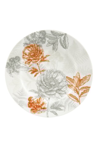 6 assiettes à dessert en porcelaine Gravures Colorees - 19 cm