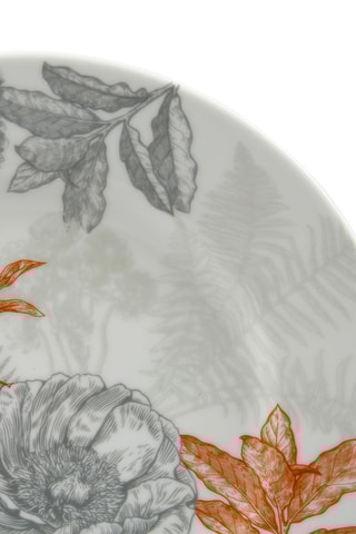 6 assiettes à dessert en porcelaine Gravures Colorees - 19 cm