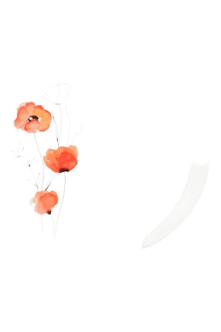 6 assiettes plates en porcelaine Chloe - 26,5 cm