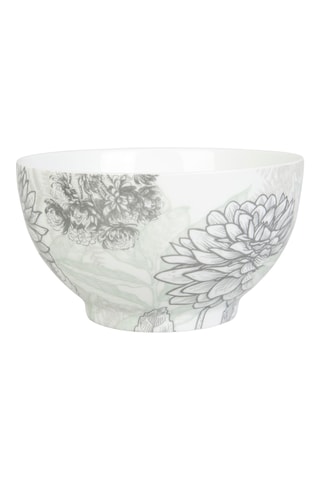 4 bols en porcelaine Gravures colorées - 55 cl