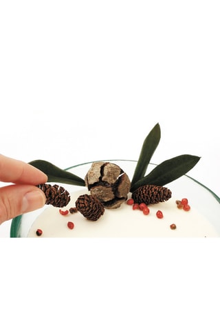 Kit DIY bougie Balade en forêt