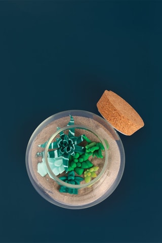 Kit Terrarium FIMO® 6 pièces