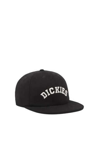 Pet West Vale - Zwart - Dickies