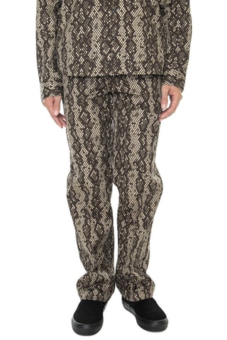 Broek Camden - Beige - Dickies