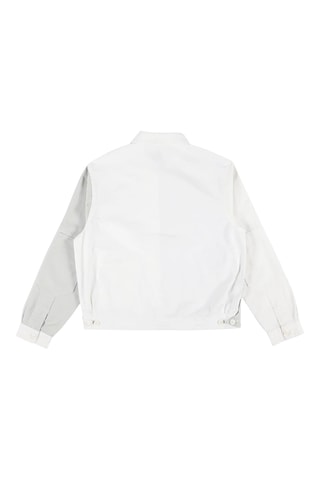Jasje Eddyville - Wit en Grijs - Dickies