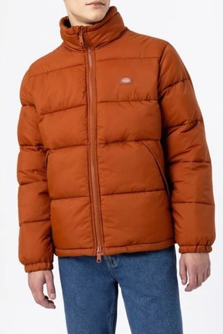 Gewatteerde Jas Waldenburg - Bruin - Dickies