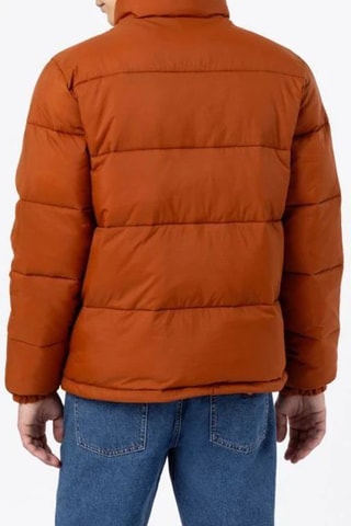Gewatteerde Jas Waldenburg - Bruin - Dickies