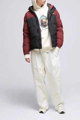 Gewatteerde Jas met Capuchon Archive Puffer - Zwart en Bordeauxrood - Timberland