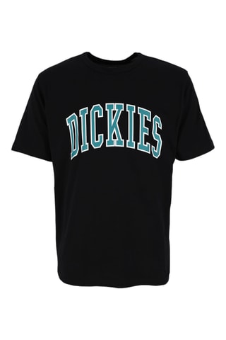 T-shirt Aitkin - Zwart - Dickies