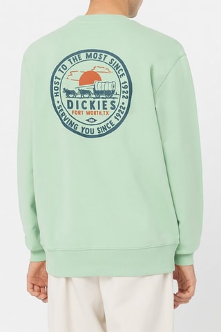 Sweater Greensburg - Groen - Dickies