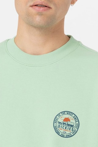 Sweater Greensburg - Groen - Dickies