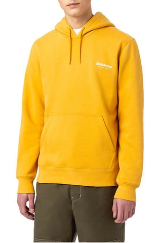 Sweater met Capuchon Camden - Geel en Bruin - Dickies