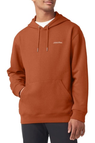 Sweater met Capuchon Uniontown - Bruin - Dickies