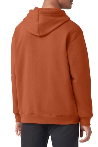 Sweater met Capuchon Uniontown - Bruin - Dickies