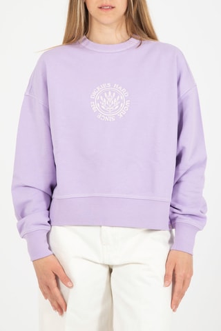 Sweater Beavertown - Paars - Dickies