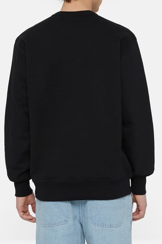 Sweater Aitkin - Zwart - Dickies