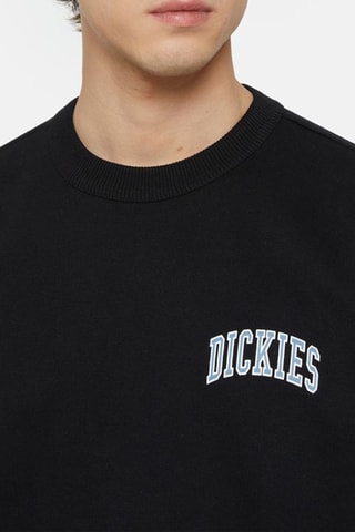 Sweater Aitkin - Zwart - Dickies