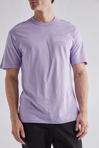 T-shirt Aitkin - Lichtpaars - Dickies