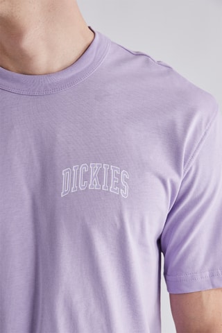 T-shirt Aitkin - Lichtpaars - Dickies