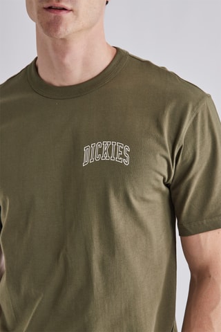 T-shirt Aitkin - Donkergroen Dickies