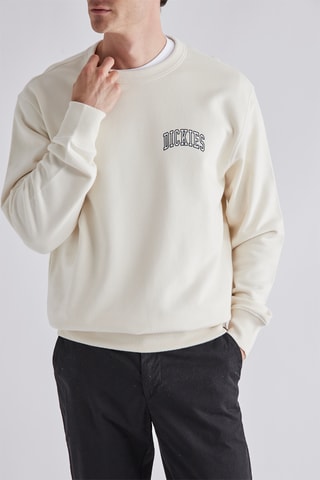 Sweater Aitkin - Ecru - Dickies