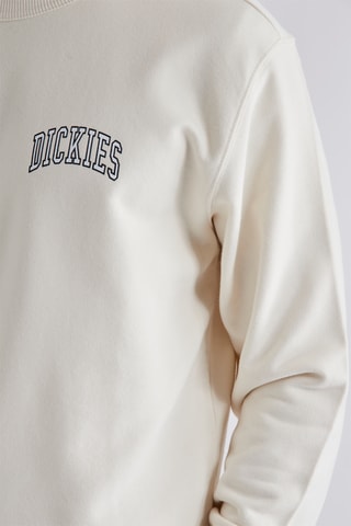 Sweater Aitkin - Ecru - Dickies