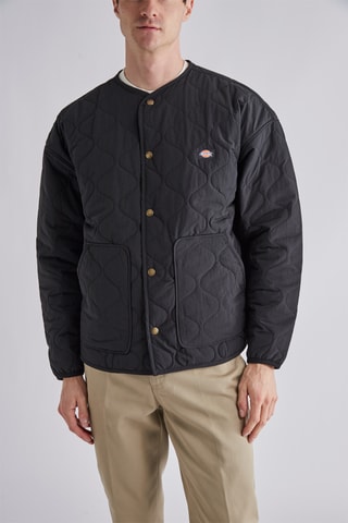 Jasje Thorsby - Zwart - Dickies