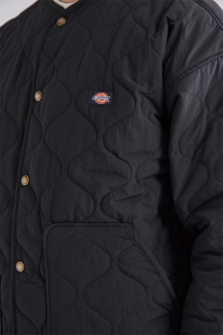 Jasje Thorsby - Zwart - Dickies