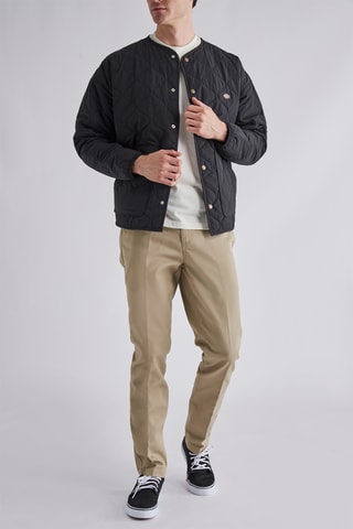 Jasje Thorsby - Zwart - Dickies
