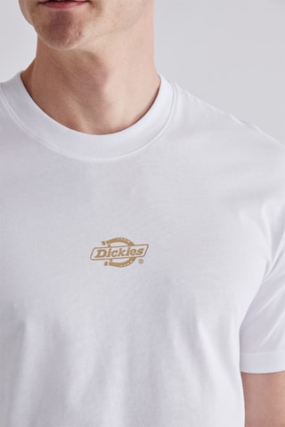 T-shirt Mehama - Wit - Dickies