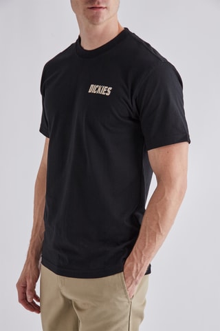 T-shirt Lake Oswego Moon Snake - Zwart - Dickies