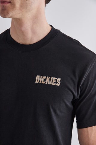 T-shirt Lake Oswego Moon Snake - Zwart - Dickies