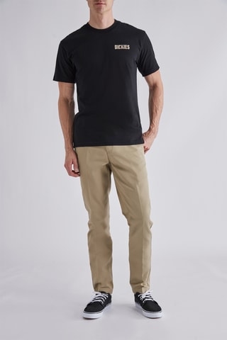 T-shirt Lake Oswego Moon Snake - Zwart - Dickies