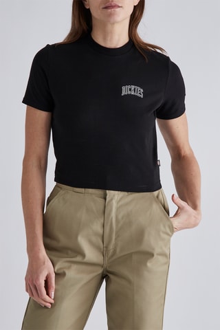 T-shirt Aitkin - Zwart - Dickies