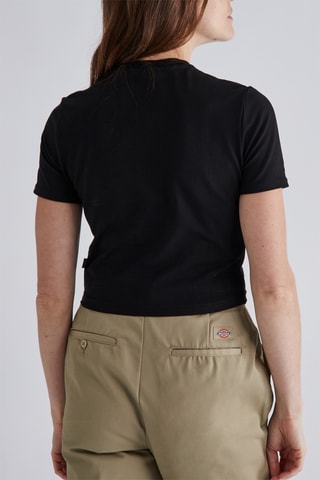 T-shirt Aitkin - Zwart - Dickies