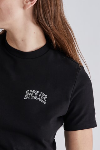 T-shirt Aitkin - Zwart - Dickies