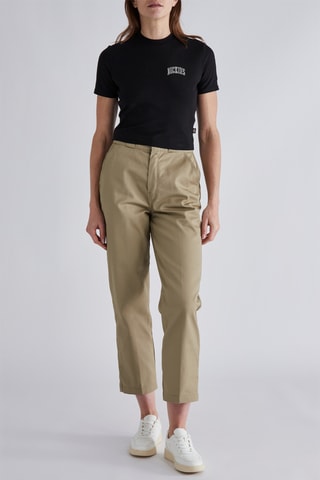 T-shirt Aitkin - Zwart - Dickies